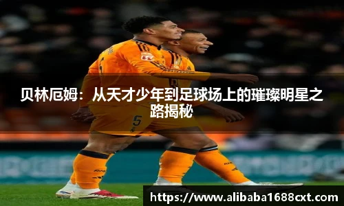 8866体育官网